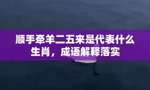 顺手牵羊二五来是代表什么生肖，成语解释落实