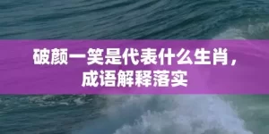 破颜一笑是代表什么生肖，成语解释落实