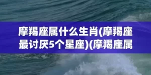 摩羯座属什么生肖(摩羯座最讨厌5个星座)(摩羯座属什么生肖命最苦)