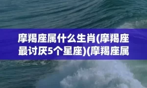 摩羯座属什么生肖(摩羯座最讨厌5个星座)(摩羯座属什么生肖命最苦)