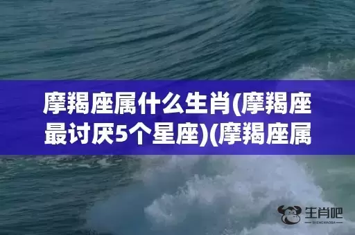 摩羯座属什么生肖(摩羯座最讨厌5个星座)(摩羯座属什么生肖命最苦)