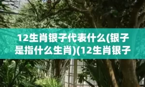 12生肖银子代表什么(银子是指什么生肖)(12生肖银子代表什么)