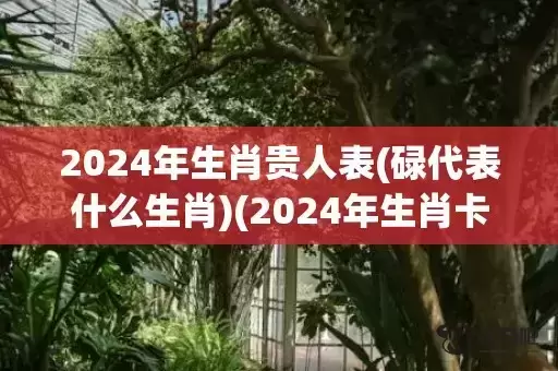 2024年生肖贵人表(碌代表什么生肖)(2024年生肖卡) 2024年生肖贵人表(碌代表什么生肖)(2024年生肖卡)