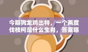 今期狗龙鸡出特，一个两度伐枝柯是什么生肖，答案曝光落实