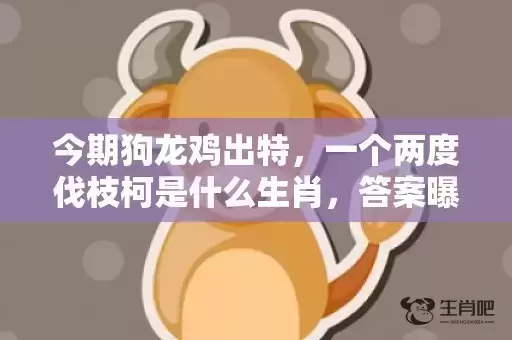 今期狗龙鸡出特，一个两度伐枝柯是什么生肖，答案曝光落实