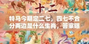 特马今期定二七，四七不合分两边是什么生肖，答案曝光落实