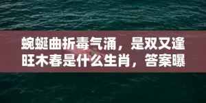 蜿蜒曲折毒气涌，是双又逢旺木春是什么生肖，答案曝光落实