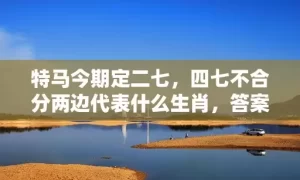 特马今期定二七，四七不合分两边代表什么生肖，答案曝光落实