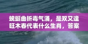 蜿蜒曲折毒气涌，是双又逢旺木春代表什么生肖，答案曝光落实