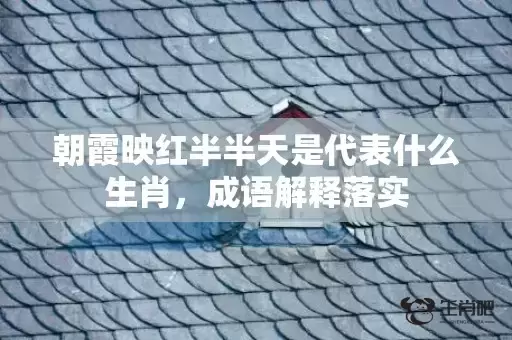 朝霞映红半半天是代表什么生肖,成语解释落实 朝霞映红半半天是代表什么生肖,成语解释落实