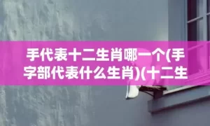 手代表十二生肖哪一个(手字部代表什么生肖)(十二生肖戴什么手串)