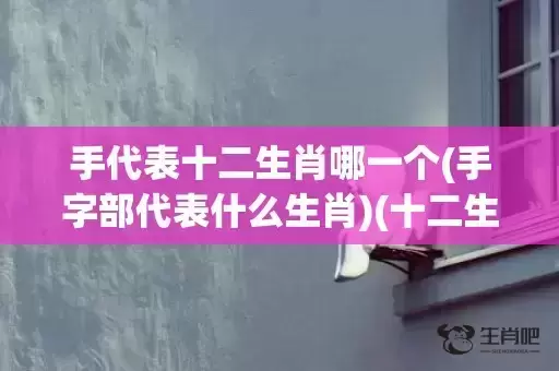 手代表十二生肖哪一个(手字部代表什么生肖)(十二生肖戴什么手串) 手代表十二生肖哪一个(手字部代表什么生肖)(十二生肖戴什么手串)