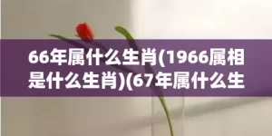 66年属什么生肖(1966属相是什么生肖)(67年属什么生肖)