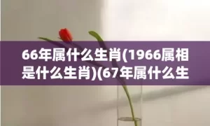 66年属什么生肖(1966属相是什么生肖)(67年属什么生肖)