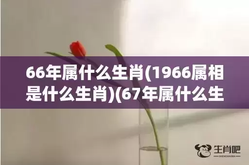 66年属什么生肖(1966属相是什么生肖)(67年属什么生肖) 66年属什么生肖(1966属相是什么生肖)(67年属什么生肖)