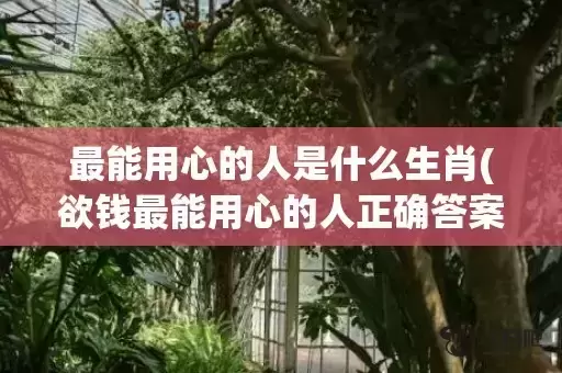 最能用心的人是什么生肖(欲钱最能用心的人正确答案的动物)(最用心的人是什么肖) 最能用心的人是什么生肖(欲钱最能用心的人正确答案的动物)(最用心的人是什么肖)