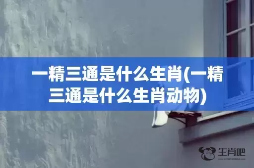 一精三通是什么生肖(一精三通是什么生肖动物)