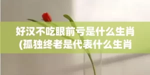 好汉不吃眼前亏是什么生肖(孤独终老是代表什么生肖)(好汉不吃眼前亏是俗语还是谚语)