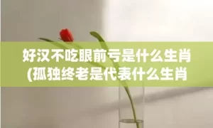 好汉不吃眼前亏是什么生肖(孤独终老是代表什么生肖)(好汉不吃眼前亏是俗语还是谚语)