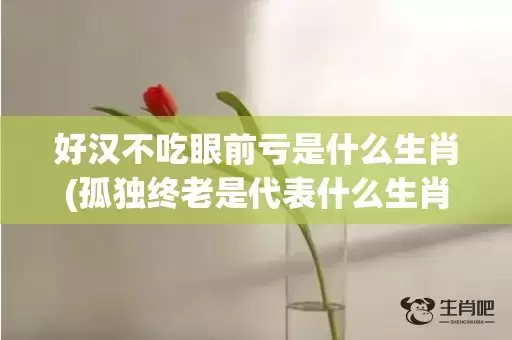 好汉不吃眼前亏是什么生肖(孤独终老是代表什么生肖)(好汉不吃眼前亏是俗语还是谚语)