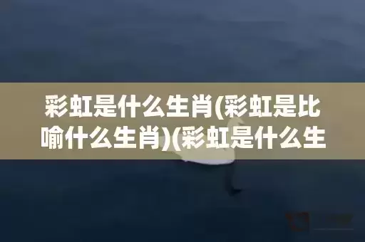 彩虹是什么生肖(彩虹是比喻什么生肖)(彩虹是什么生肖数字)