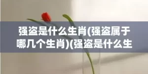 强盗是什么生肖(强盗属于哪几个生肖)(强盗是什么生肖?)