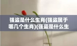 强盗是什么生肖(强盗属于哪几个生肖)(强盗是什么生肖?)