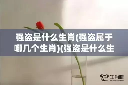 强盗是什么生肖(强盗属于哪几个生肖)(强盗是什么生肖?)