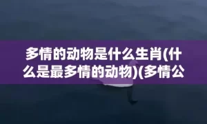 多情的动物是什么生肖(什么是最多情的动物)(多情公子是什么动物)