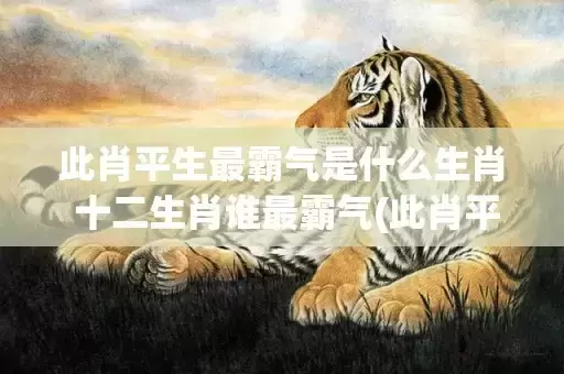 此肖平生最霸气是什么生肖 十二生肖谁最霸气(此肖平生最霸气是指什么数字)