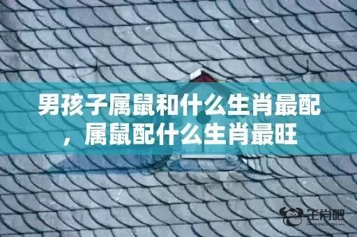 男孩子属鼠和什么生肖最配,属鼠配什么生肖最旺 男孩子属鼠和什么生肖最配,属鼠配什么生肖最旺