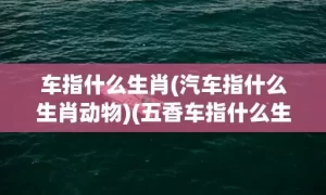 车指什么生肖(汽车指什么生肖动物)(五香车指什么生肖)