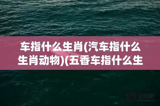 车指什么生肖(汽车指什么生肖动物)(五香车指什么生肖)