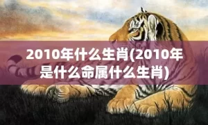 2010年什么生肖(2010年是什么命属什么生肖)