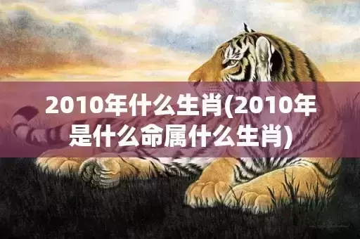 2010年什么生肖(2010年是什么命属什么生肖)