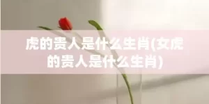 虎的贵人是什么生肖(女虎的贵人是什么生肖)