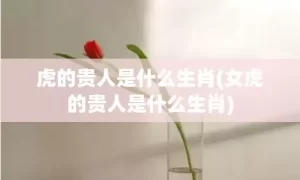 虎的贵人是什么生肖(女虎的贵人是什么生肖)