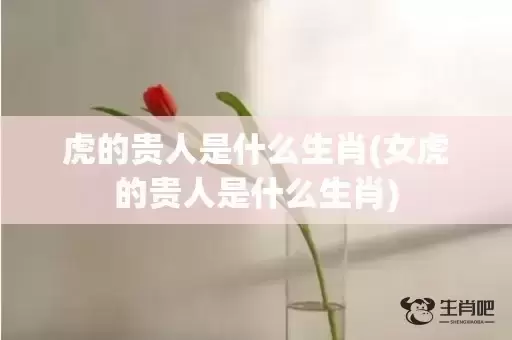 虎的贵人是什么生肖(女虎的贵人是什么生肖) 虎的贵人是什么生肖(女虎的贵人是什么生肖)
