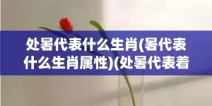 处暑代表什么生肖(暑代表什么生肖属性)(处暑代表着什么)