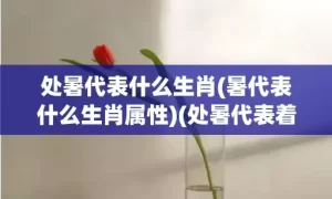 处暑代表什么生肖(暑代表什么生肖属性)(处暑代表着什么)