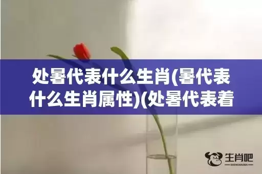 处暑代表什么生肖(暑代表什么生肖属性)(处暑代表着什么)
