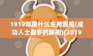 1919年属什么生肖属相(成功人士最多的属相)(201919年属什么)