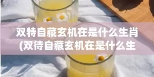 双特自藏玄机在是什么生肖(双待自藏玄机在是什么生肖)(双特自藏玄机在指什么生肖)