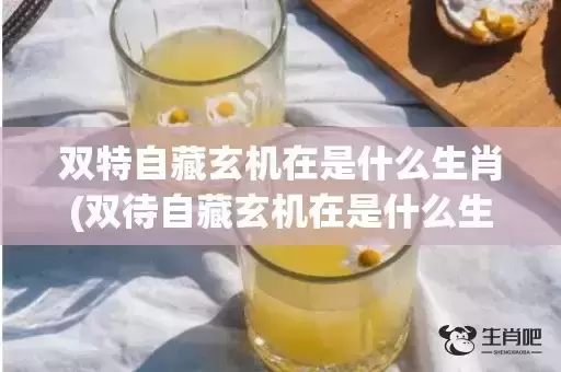 双特自藏玄机在是什么生肖(双待自藏玄机在是什么生肖)(双特自藏玄机在指什么生肖)