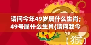 请问今年49岁属什么生肖;49号属什么生肖(请问我今年已经49岁了)