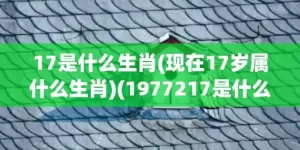 17是什么生肖(现在17岁属什么生肖)(1977217是什么生肖)