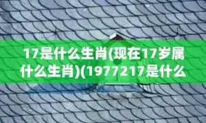 17是什么生肖(现在17岁属什么生肖)(1977217是什么生肖)