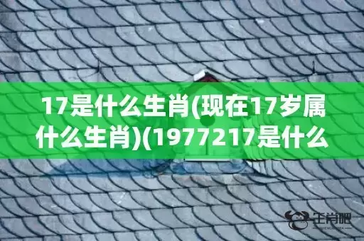 17是什么生肖(现在17岁属什么生肖)(1977217是什么生肖) 17是什么生肖(现在17岁属什么生肖)(1977217是什么生肖)