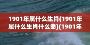 1901年属什么生肖(1901年属什么生肖什么命)(1901年属什么命)