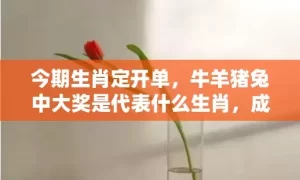 今期生肖定开单，牛羊猪兔中大奖是代表什么生肖，成语解释落实